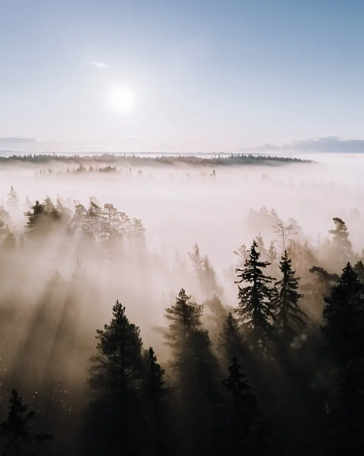 Haltia Lake Lodge - Espoo, Finnland | Good Travel