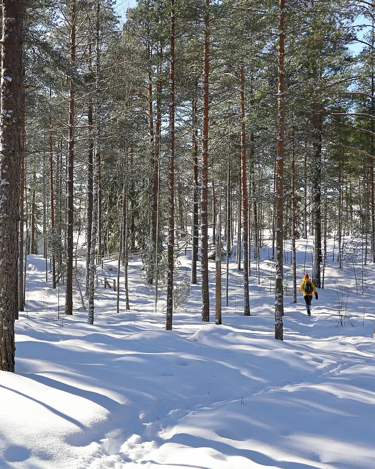 Haltia Lake Lodge - Espoo, Finnland | Good Travel