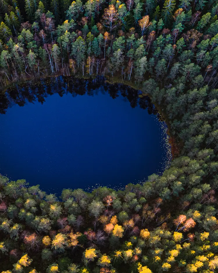 Haltia Lake Lodge - Espoo, Finland | Good Travel