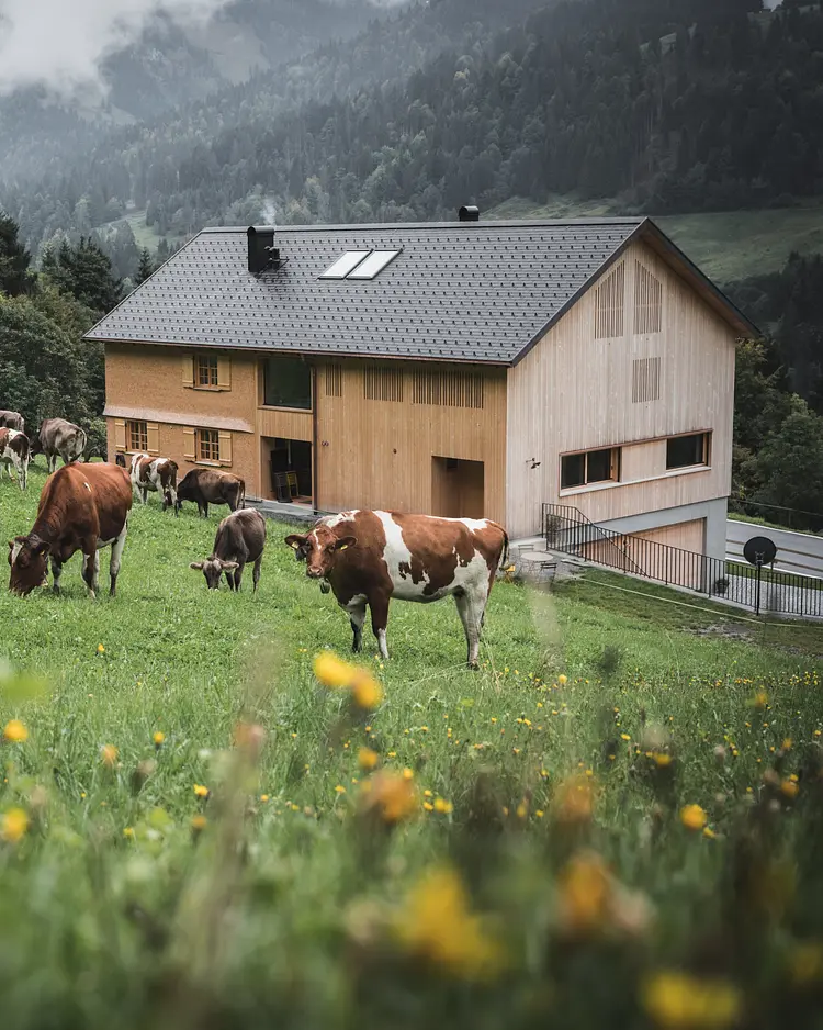 Halwina Hideaway - Sibratsgfäll, Austria | Good Travel