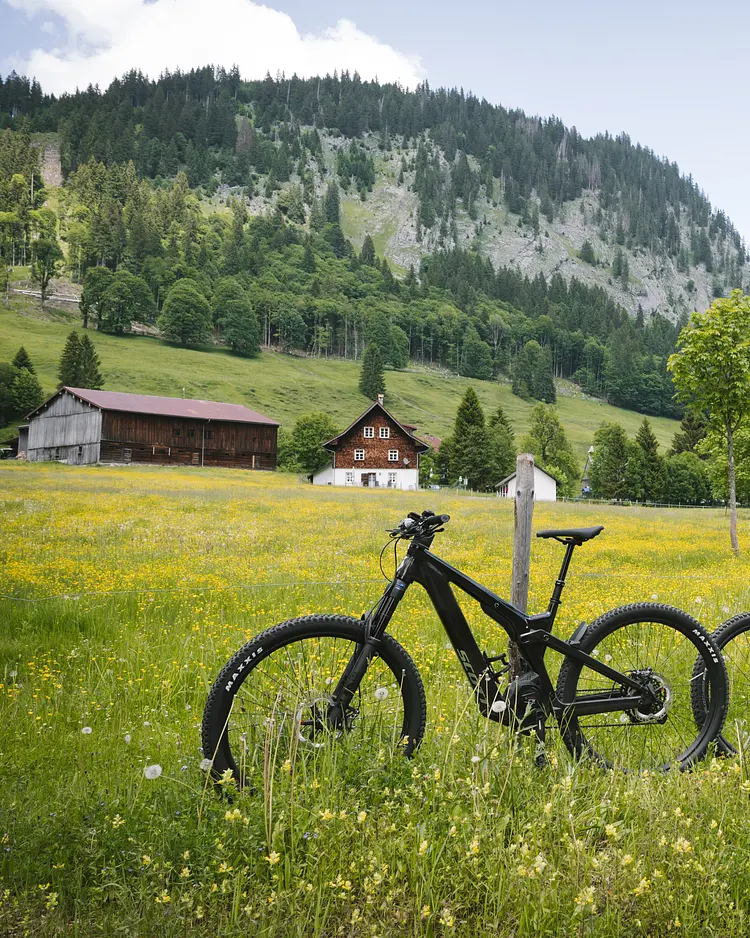 Halwina Hideaway - Sibratsgfäll, Austria | Good Travel
