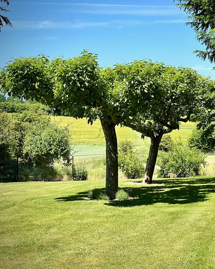 Hof Sonnenmeer - Prasdorf, Germany | Good Travel