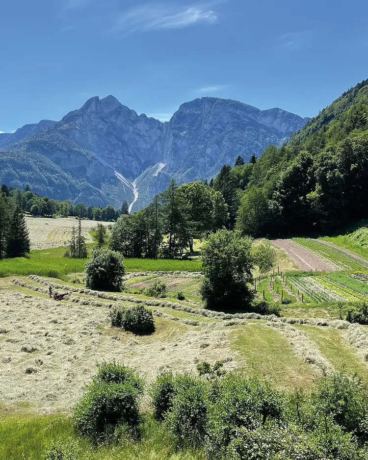 Hof Unternberg - Margreid/Fennberg, Italien | Good Travel