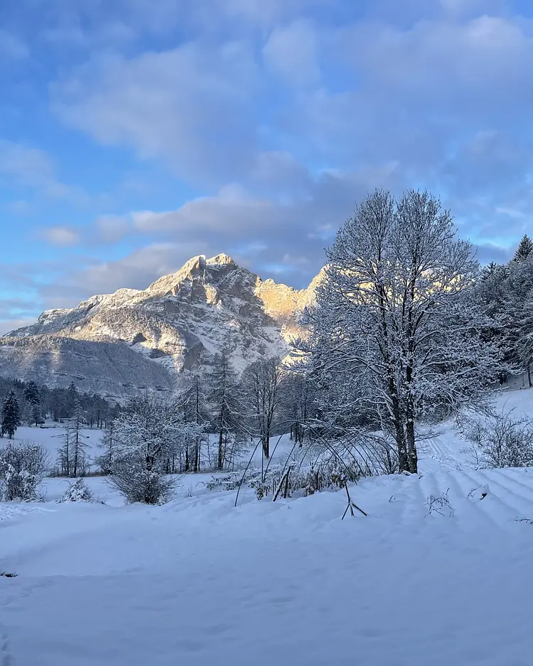 Hof Unternberg - Margreid/Fennberg, Italien | Good Travel