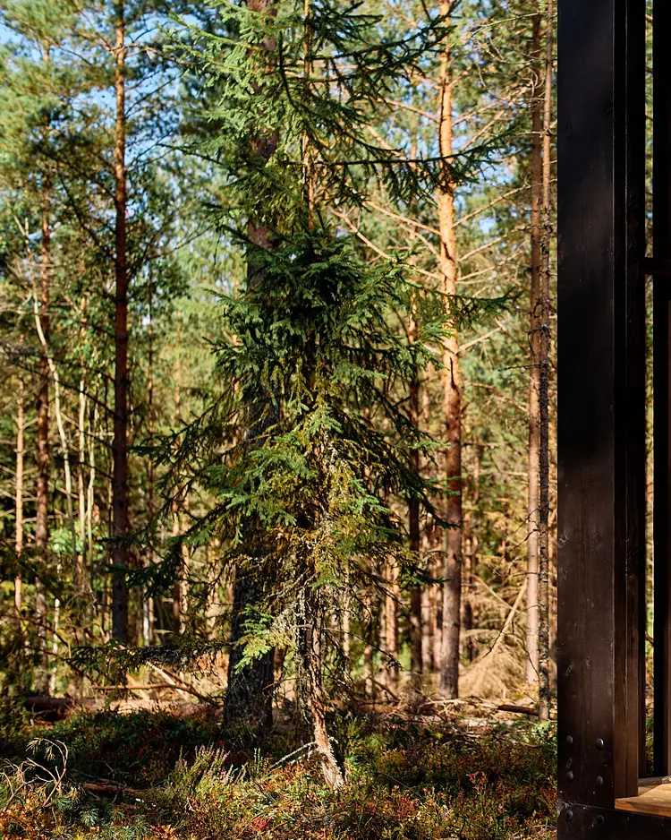 Hop Farm Beach - Söderhamn, Schweden | Good Travel