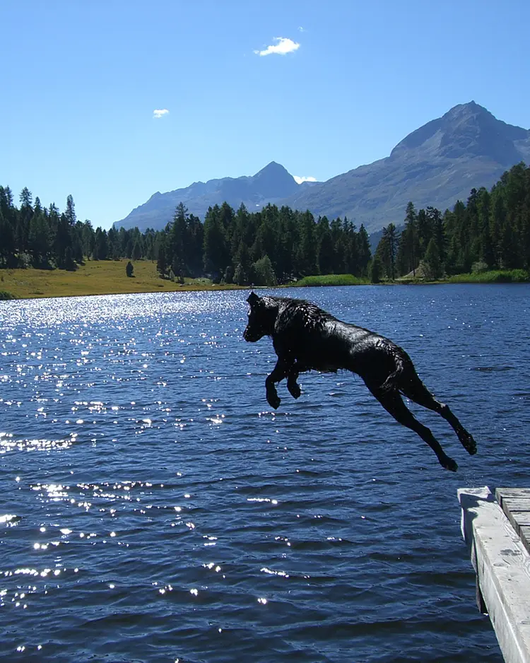 Acla Muragl - Pontresina, Schweiz | Good Travel