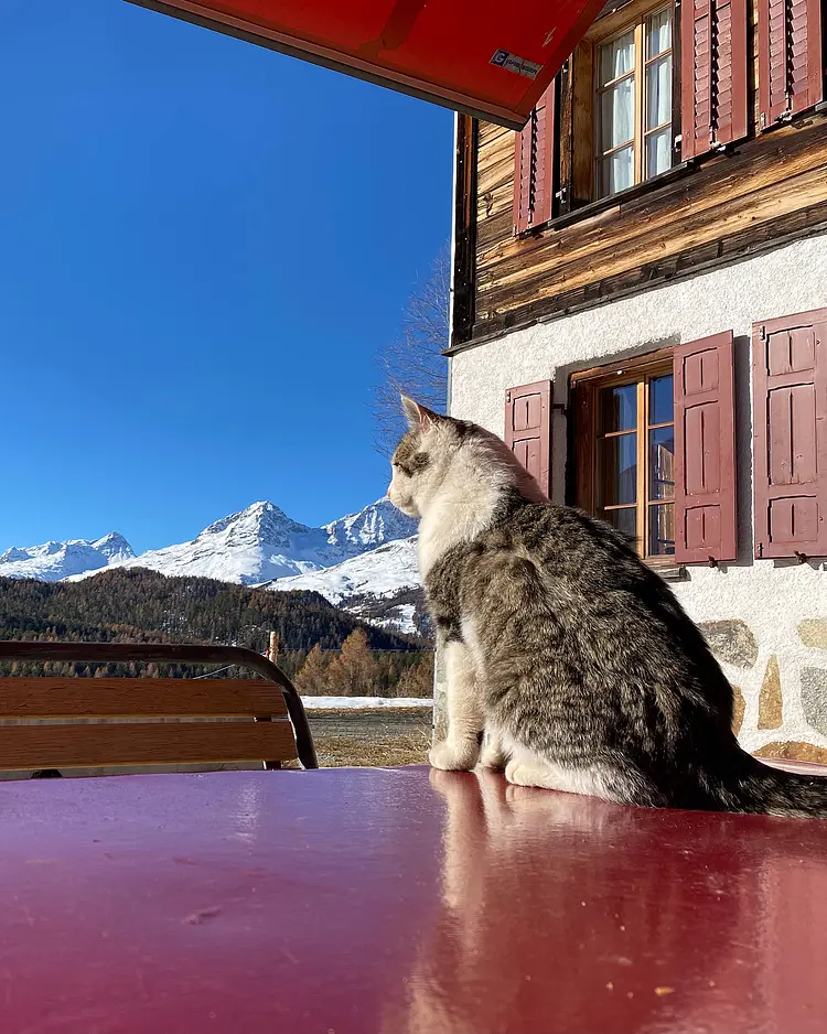 Acla Muragl - Pontresina, Schweiz | Good Travel