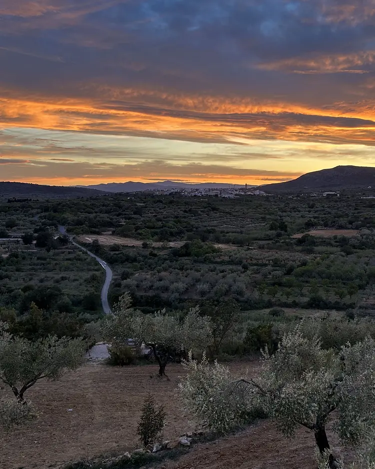 Casa de Olivos - Traiguera, Spain | Good Travel