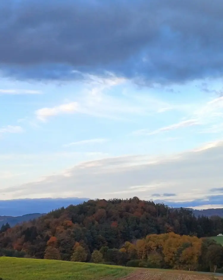 Odenwald-Lodges - Reichelsheim, Germany | Good Travel