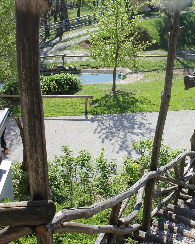 Organic Farm Slibar - Tržič, Slowenien | Good Travel