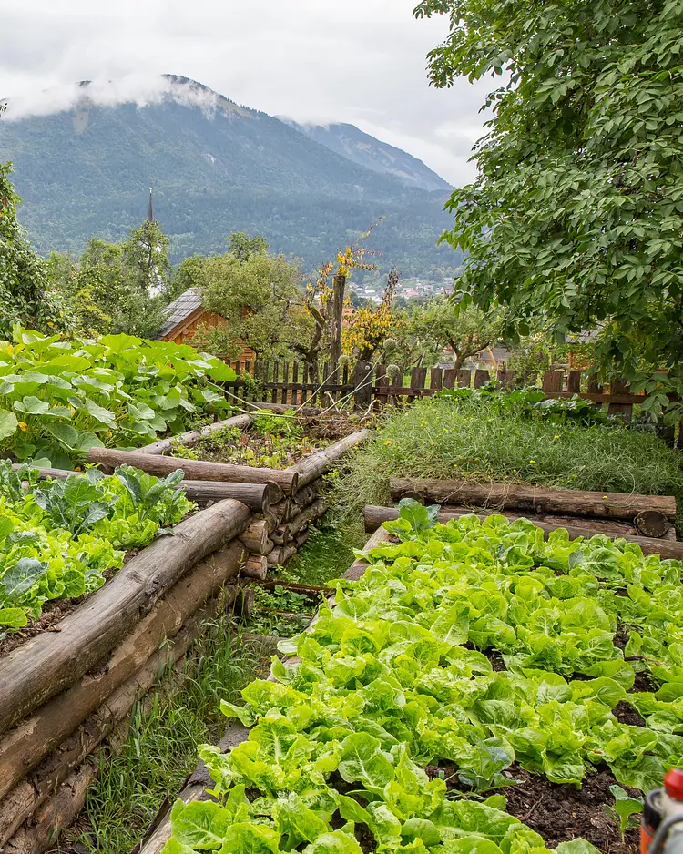 Organic Farm Slibar - Tržič, Slowenien | Good Travel