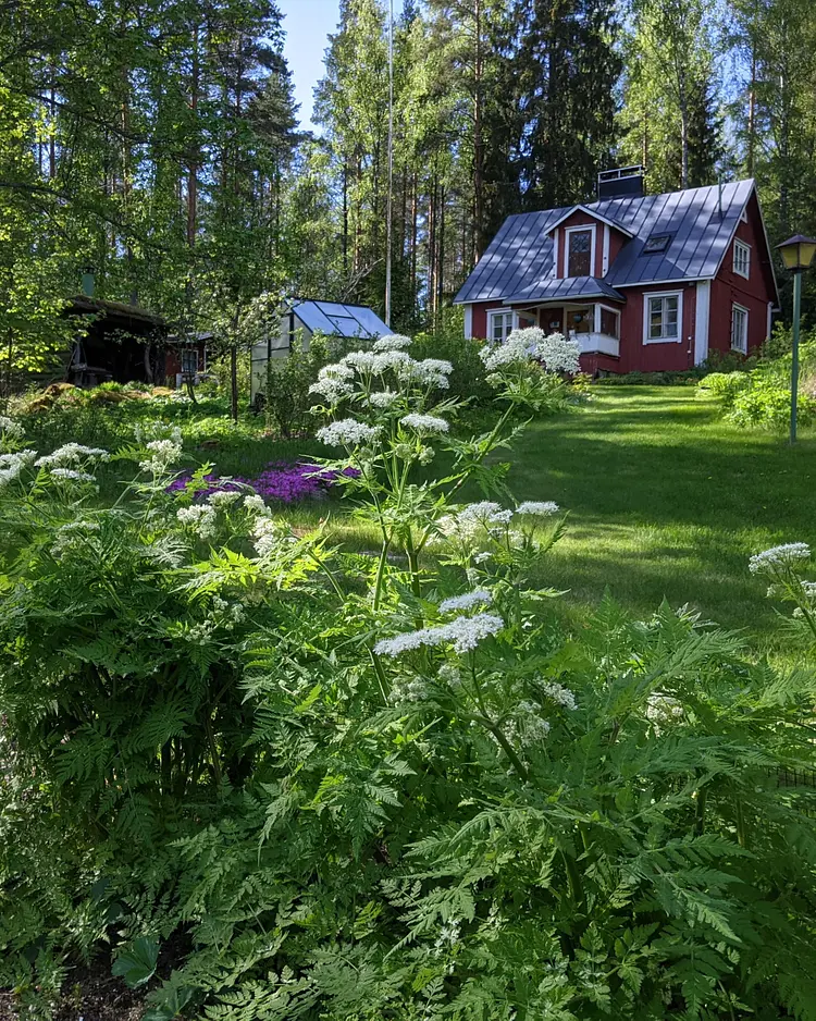 Nukula - Oravasaari, Finland | Good Travel