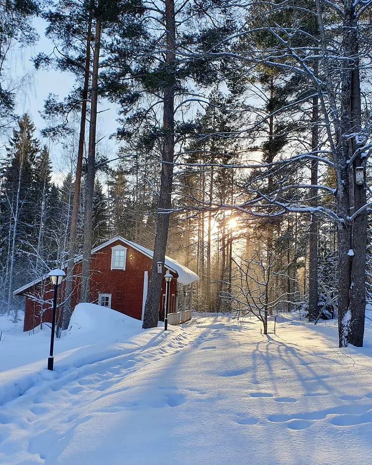 Nukula - Oravasaari, Finland | Good Travel