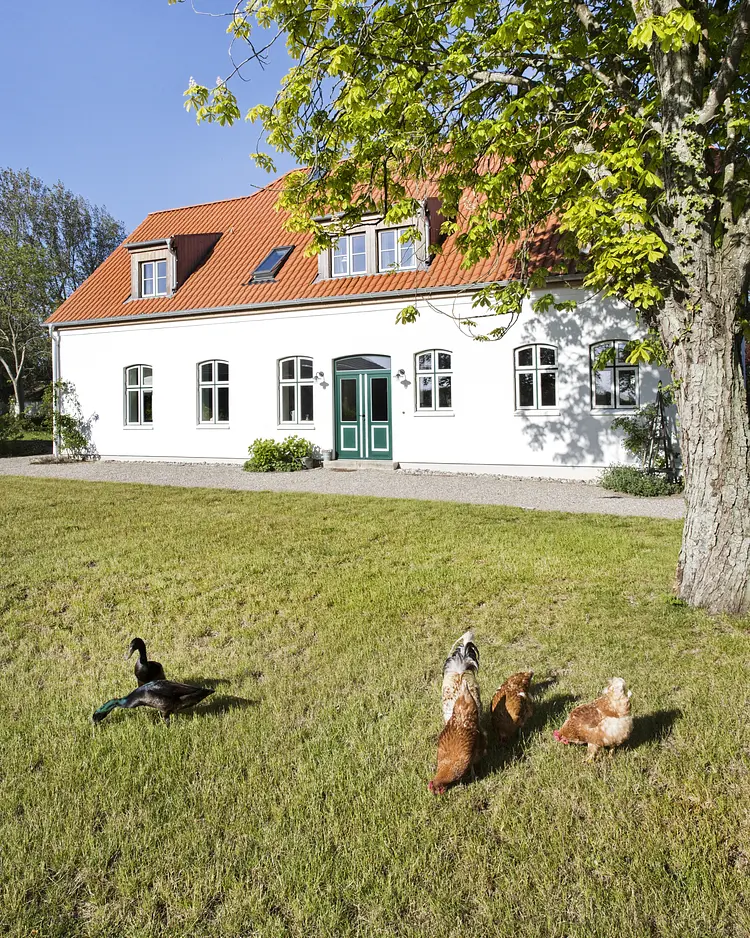 Ostseehof - Pommerby, Deutschland | Good Travel