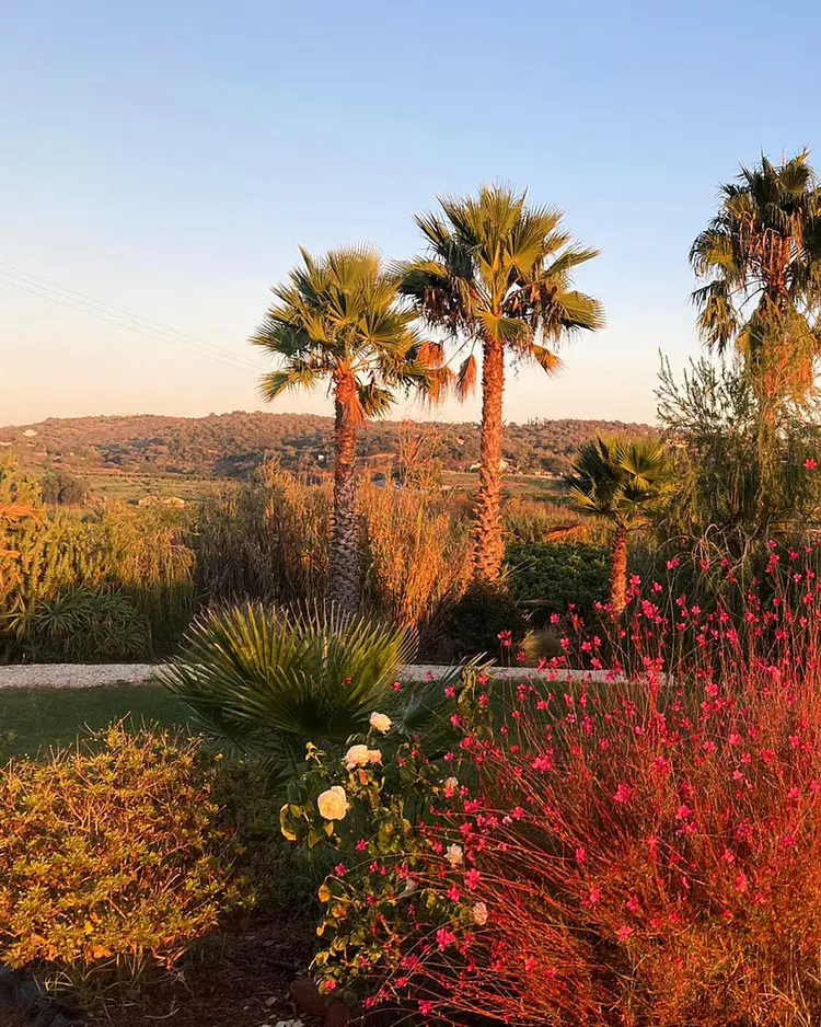 Quinta da Luz - Silves, Portugal | Good Travel