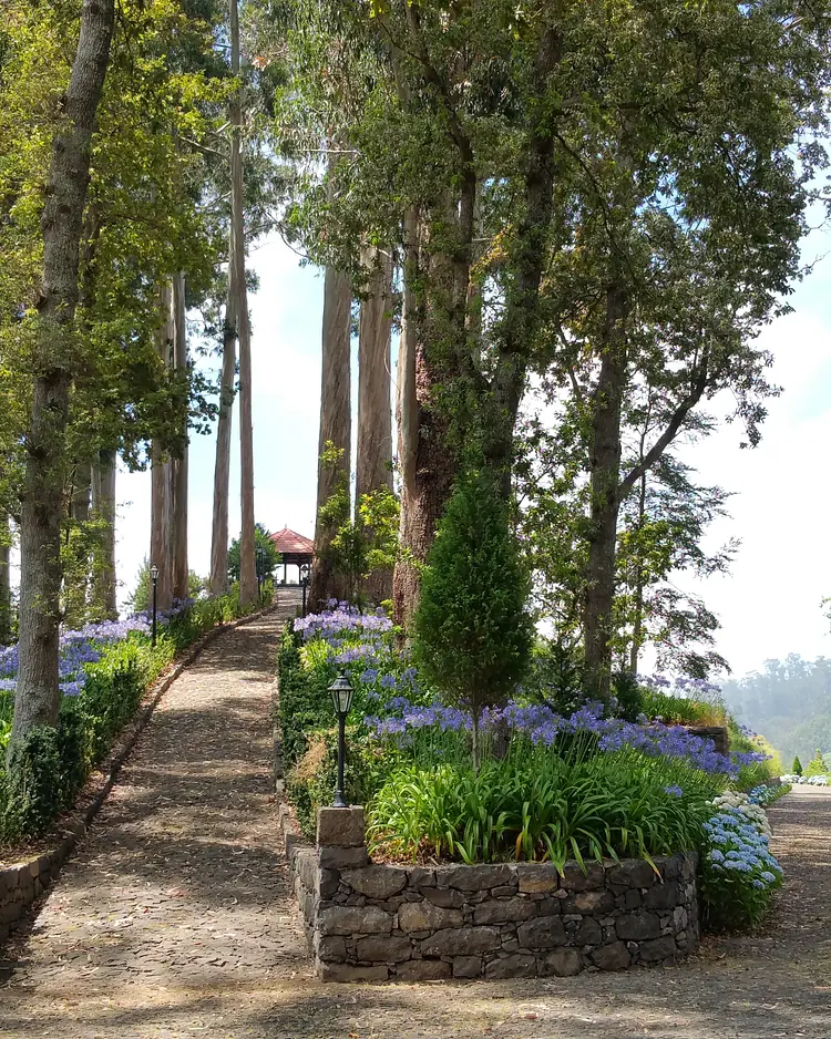 Quinta da Serra - Câmara de Lobos, Portugal | Good Travel