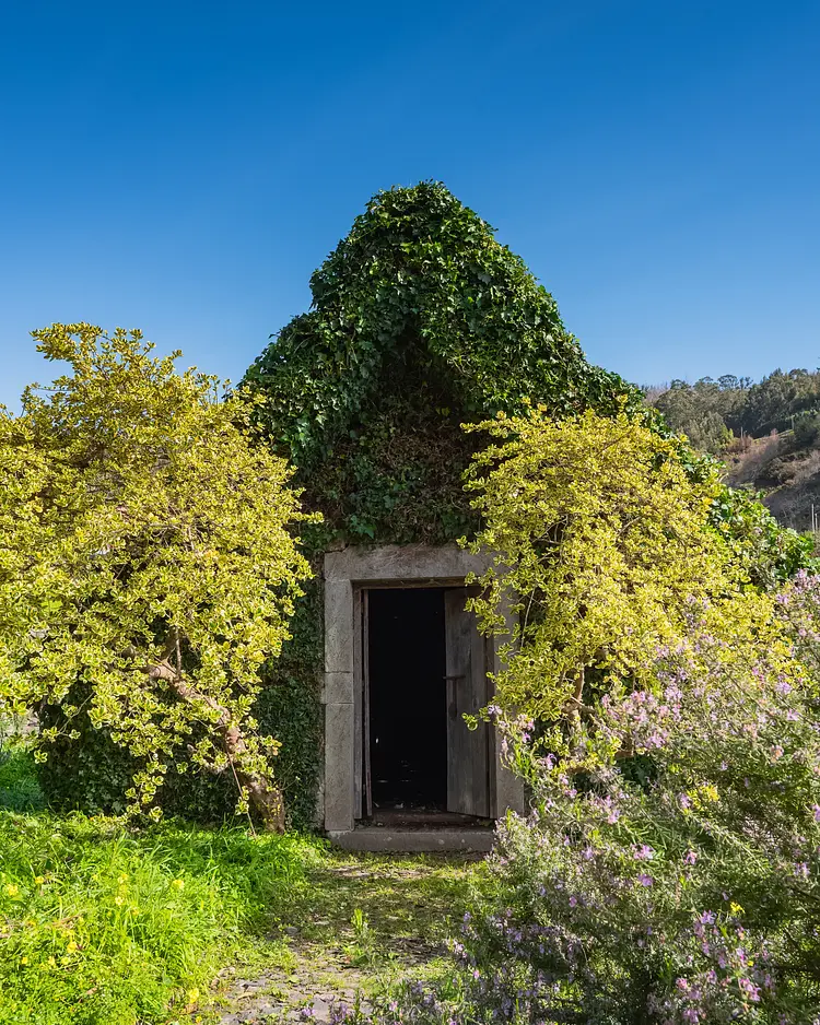 Quinta da Serra - Câmara de Lobos, Portugal | Good Travel