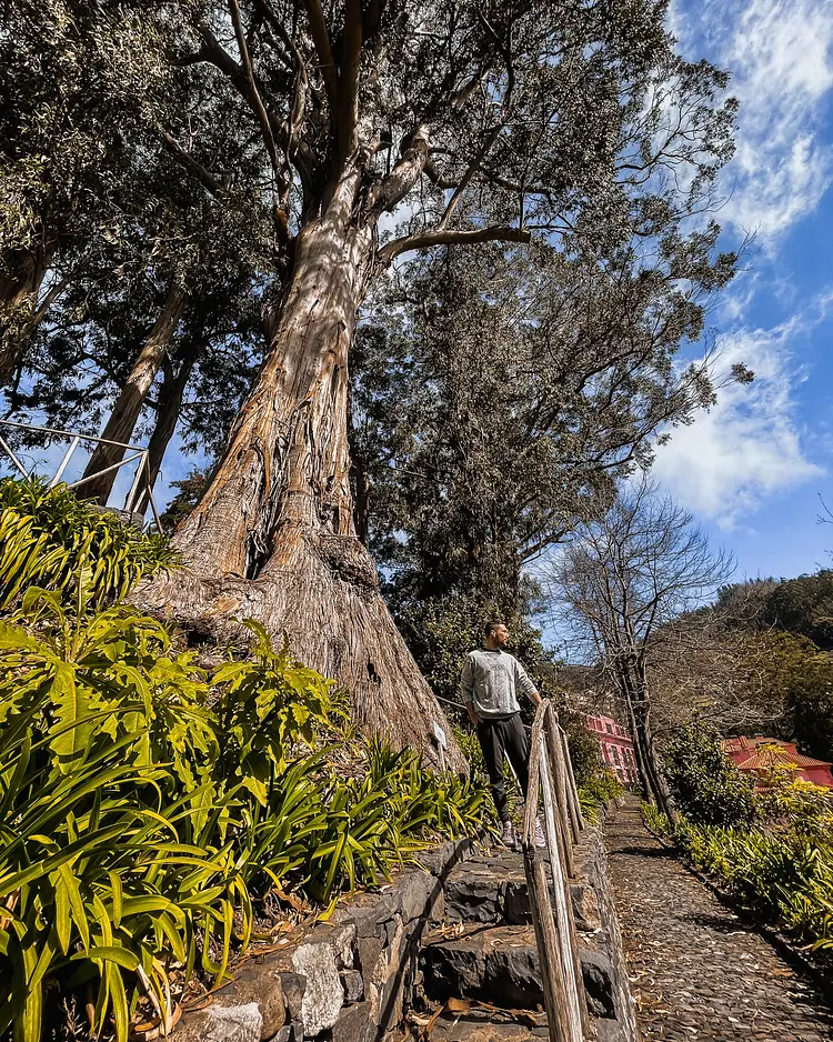 Quinta da Serra - Câmara de Lobos, Portugal | Good Travel