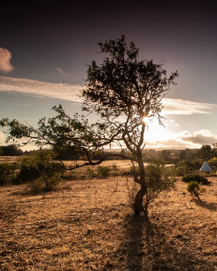 Quinta do Catalao - Espiche, Portugal | Good Travel