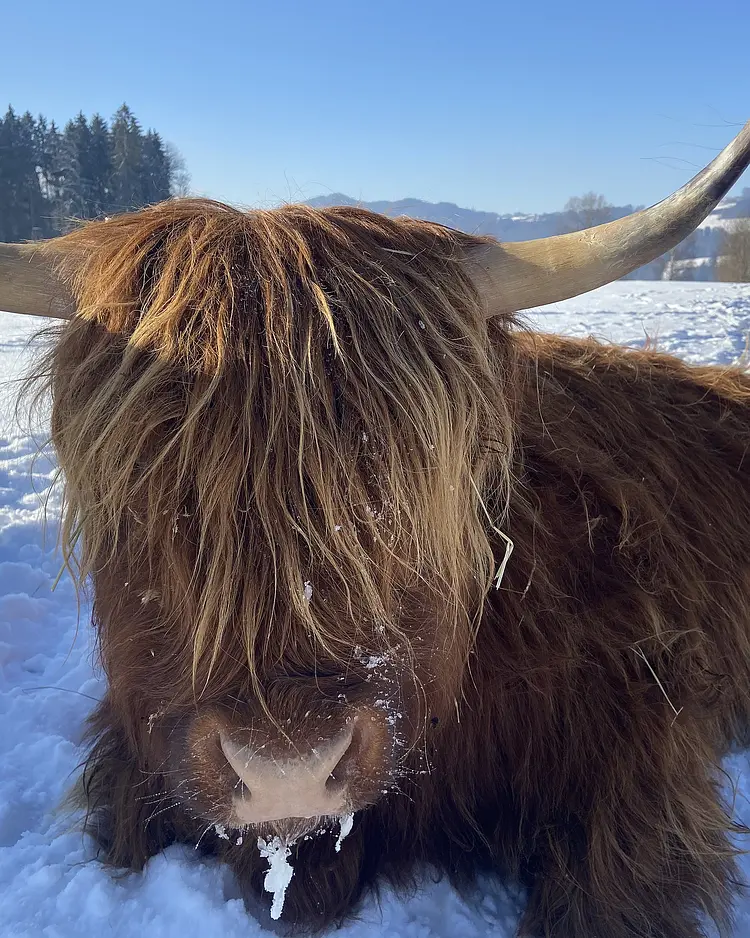 Paradies Samerberg - Chiemgau, Deutschland | Good Travel