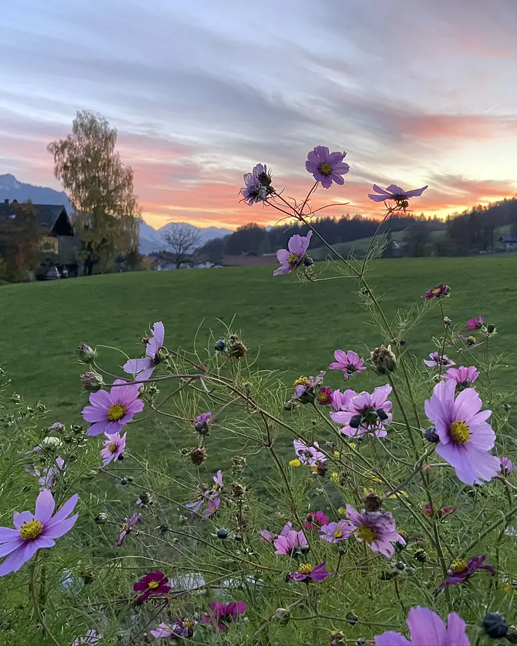 Paradies Samerberg - Chiemgau, Deutschland | Good Travel