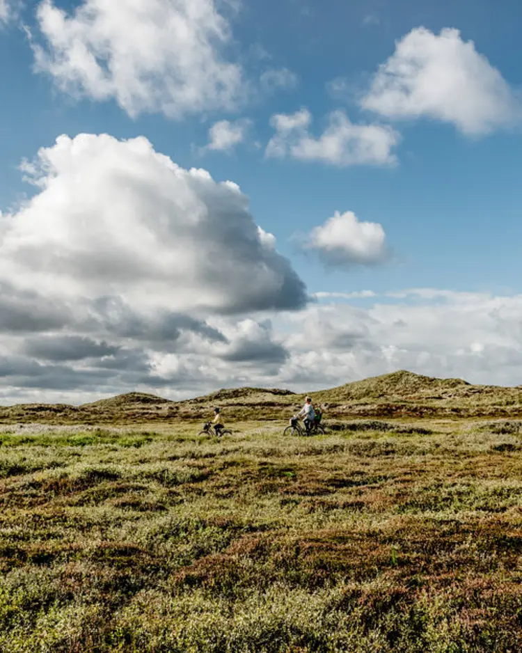 Recharge House Agger - Vestervig, Denmark | Good Travel