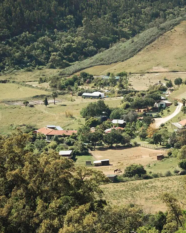 Reguengo - São Téotonio, Portugal | Good Travel