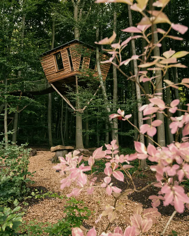 Robins Nest - Witzenhausen, Deutschland | Good Travel