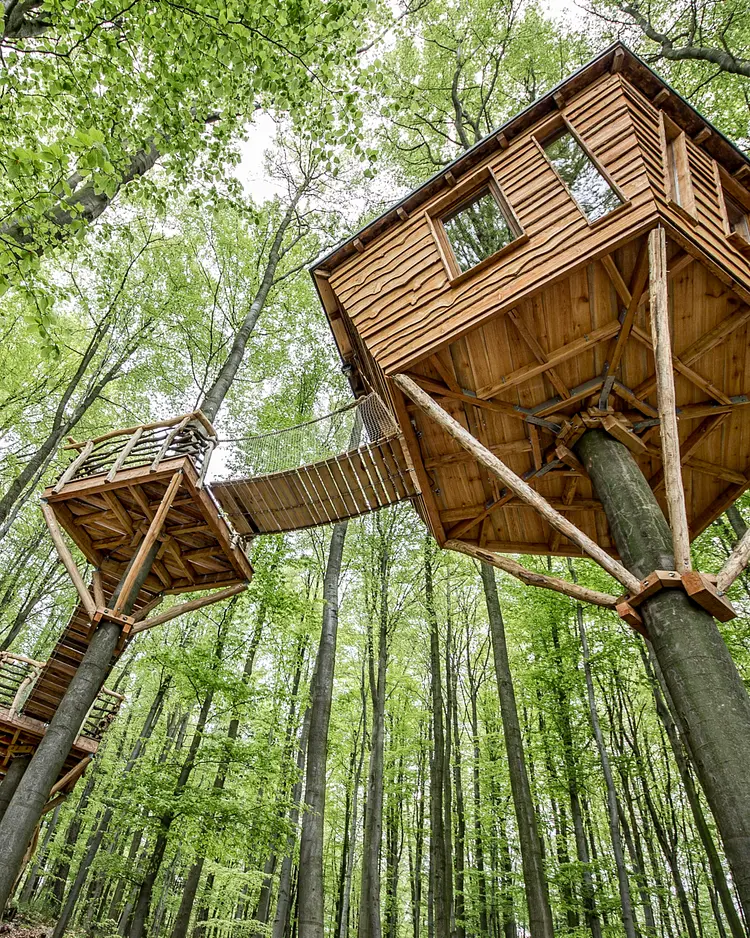 Robins Nest - Witzenhausen, Deutschland | Good Travel