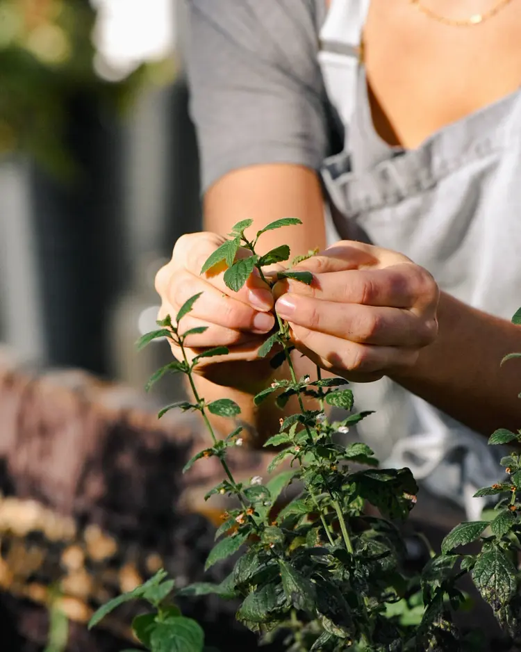 7 Sentidos - Bischofsmais, Deutschland | Good Travel