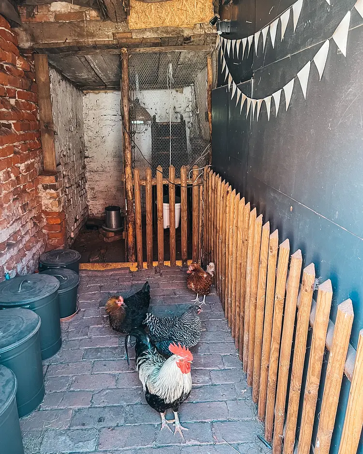 Alte Schule Brandenburg - Sechzehneichen, Deutschland | Good Travel