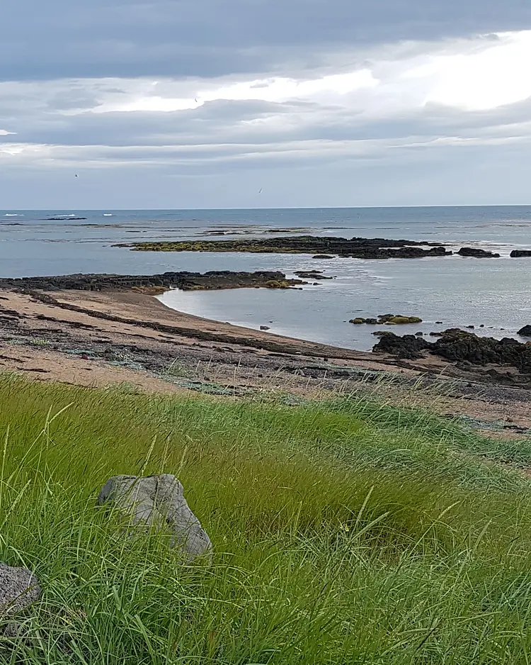 Barn House - Stokkseyri, Iceland | Good Travel