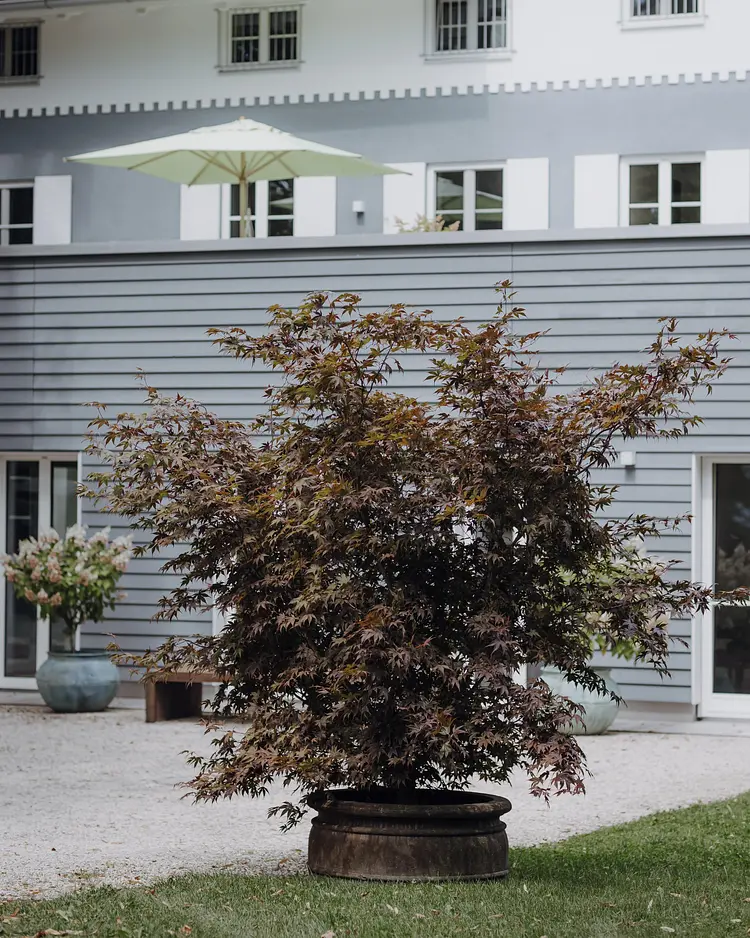 Matador Lodges - Chiemsee, Deutschland | Good Travel