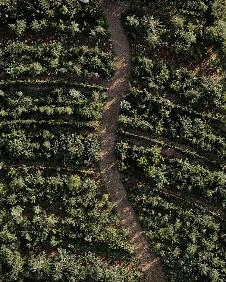 Michelberger Farm - Vetschau, Deutschland | Good Travel