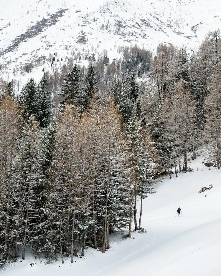 MoaAlm Mountain Retreat - Kals am Großglockner, Austria | Good Travel