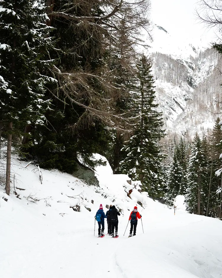 MoaAlm Mountain Retreat - Kals am Großglockner, Austria | Good Travel