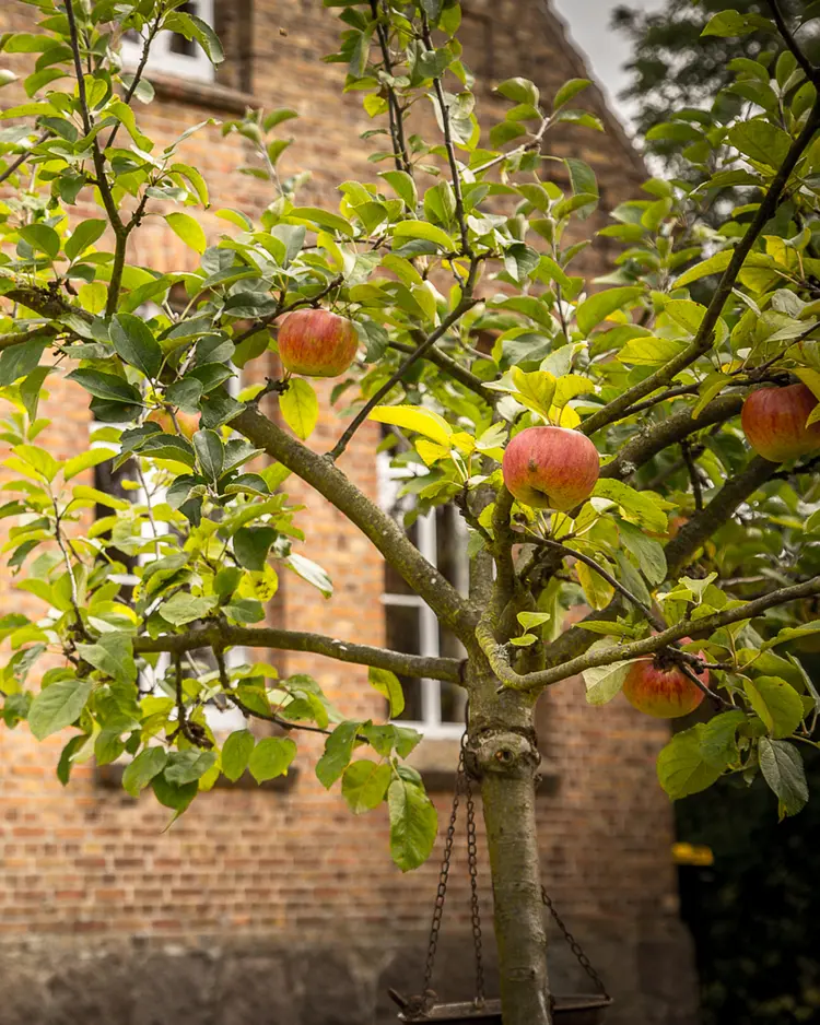 Alte Schule Stegelitz - Uckermark, Deutschland | Good Travel
