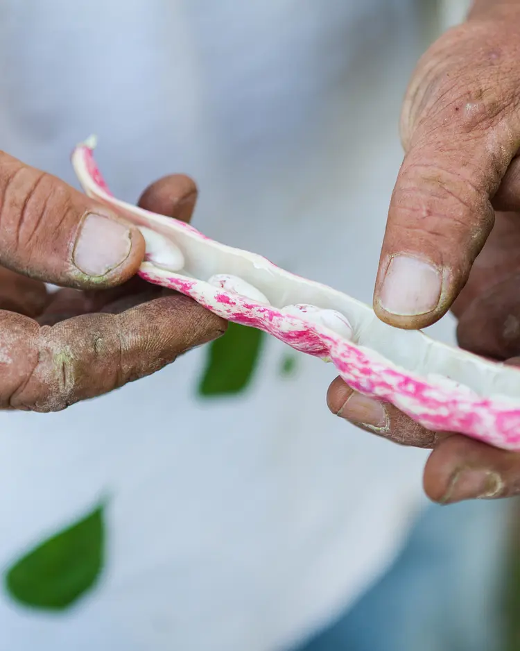 Montanema Handmade Village - Mouzaki, Greece | Good Travel