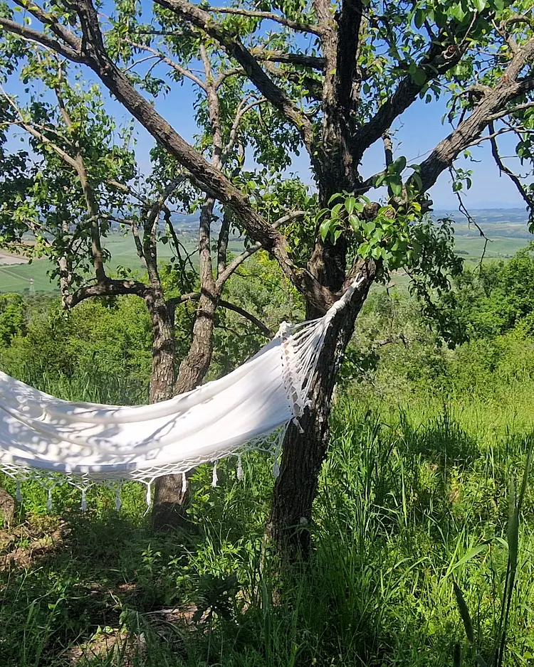 Capraleccia - Orciatico, Italy | Good Travel