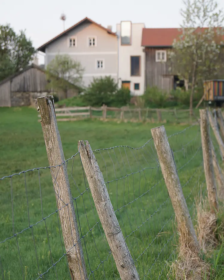 Moosham 13 - Grafenau, Deutschland | Good Travel