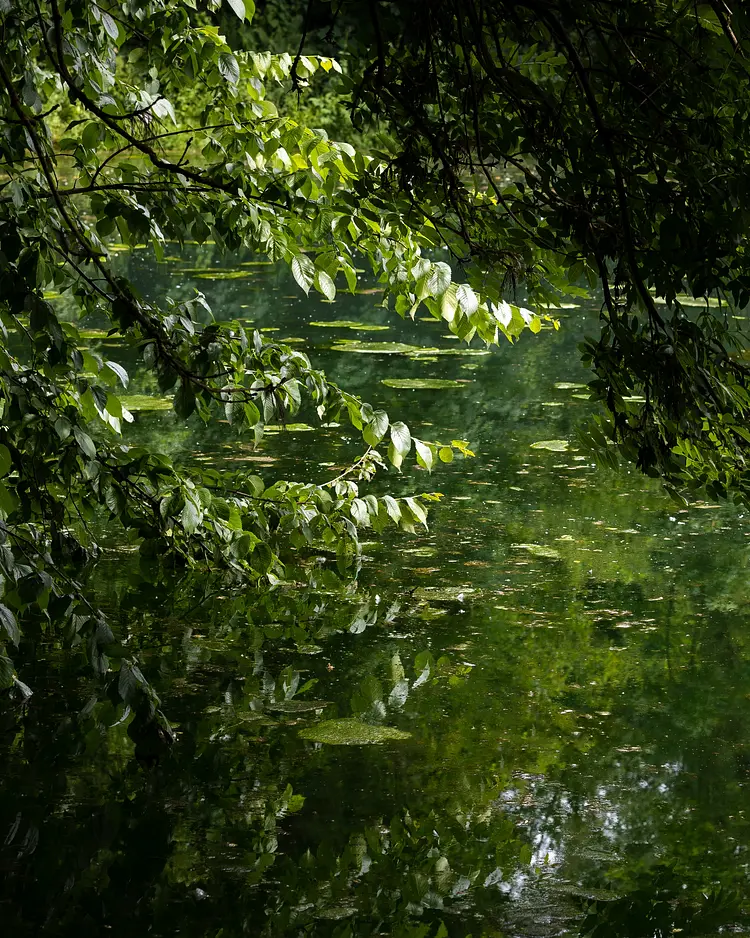 Moulin Moulin - Dannes, France | Good Travel