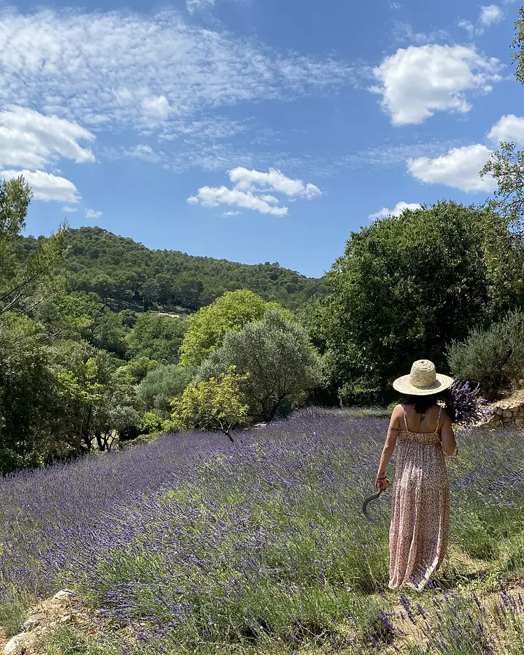 Lou Calen - Cotignac, Frankreich | Good Travel