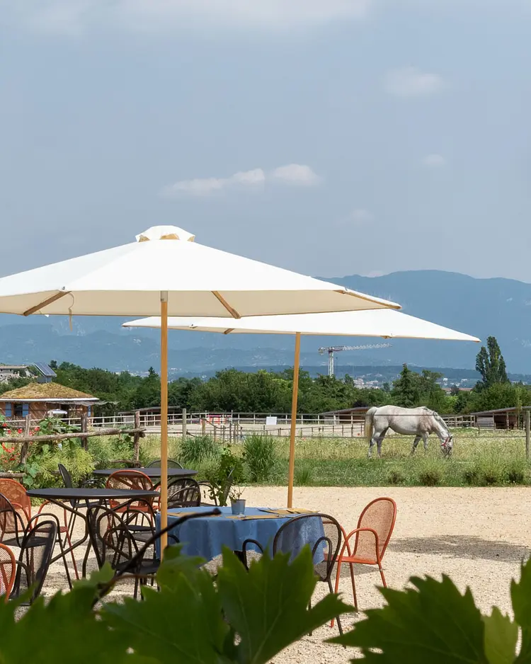 Casa Viva - Costermano sul Garda, Italien | Good Travel