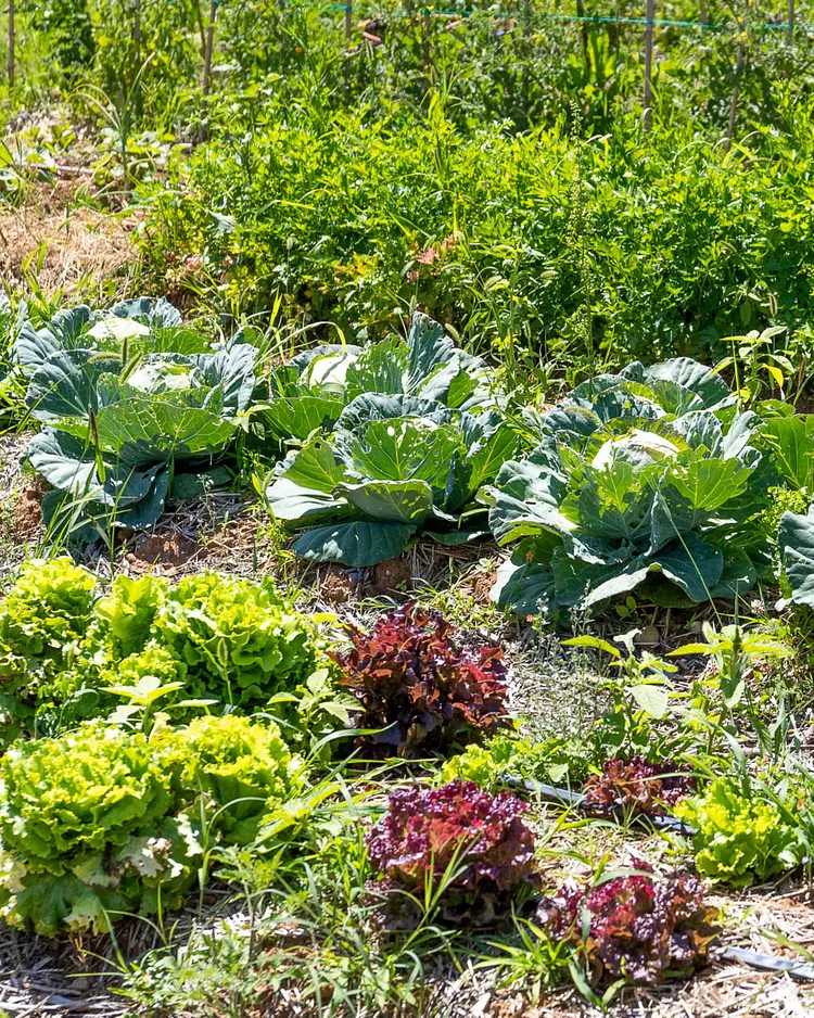 Casa Viva - Costermano sul Garda, Italien | Good Travel