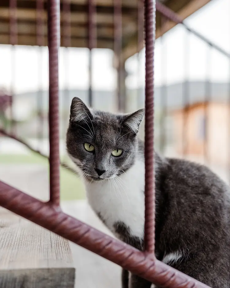 Casa Viva - Costermano sul Garda, Italien | Good Travel