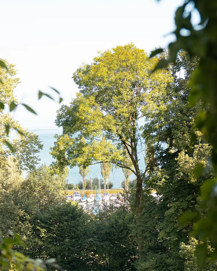 Schloss Wartegg - Rorschacherberg, Schweiz | Good Travel
