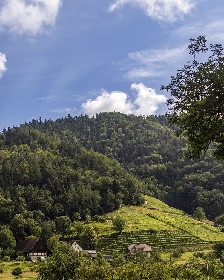 Schlossmühle Glottertal - Glottertal, Germany | Good Travel
