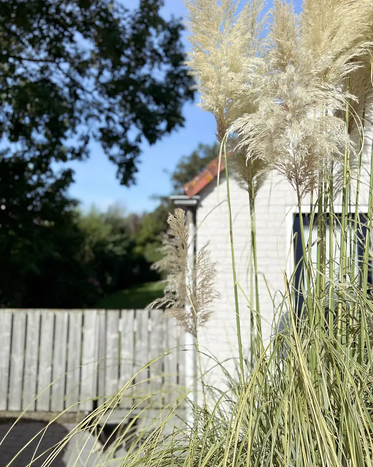 Antje Huis - Julianadorp, Netherlands | Good Travel