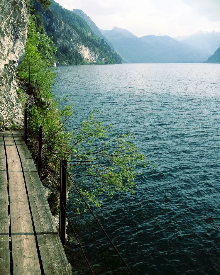 SEE 31 - Traunkirchen, Österreich | Good Travel