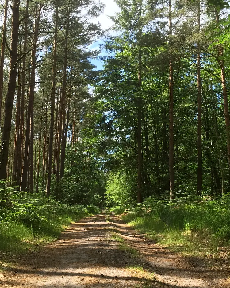Seestück Prerow - Prerow, Deutschland | Good Travel